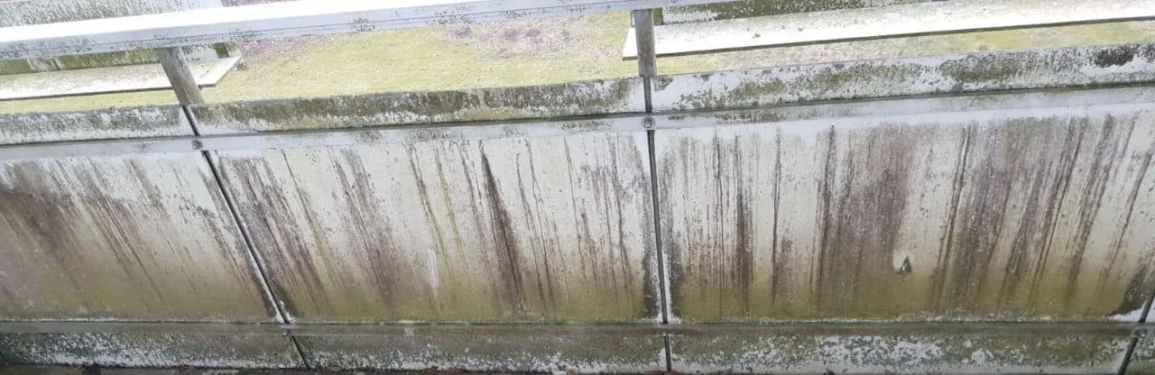 Veralgtes Glasdach einer Terrassenüberdachung vor der Reinigung